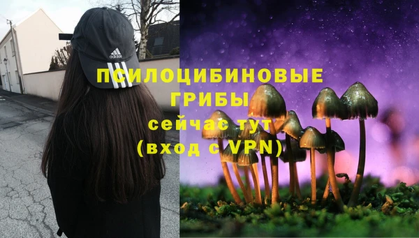 соль курить ск Беломорск