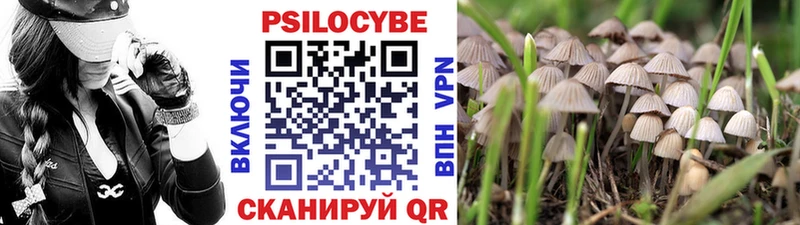 Псилоцибиновые грибы мухоморы  Бузулук 
